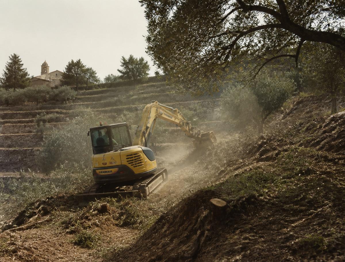 Excavadora de Busquets López Agrícola trabajando en una ladera para prevención de incendios en Tarragona